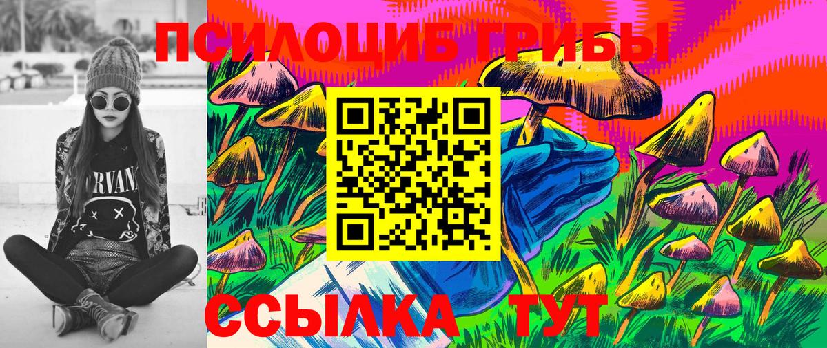 Прохладный  Псилоцибиновые грибы Psilocybine cubensis  Вход с VPN 